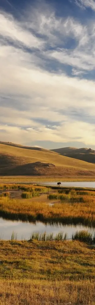 Auf dem Landweg von Kirgistan nach Usbekistan